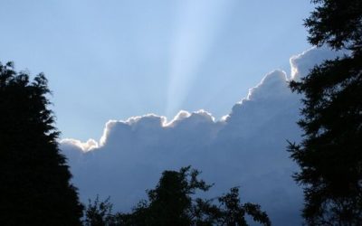 Silver Linings: 10 Ways to Improve Your Business